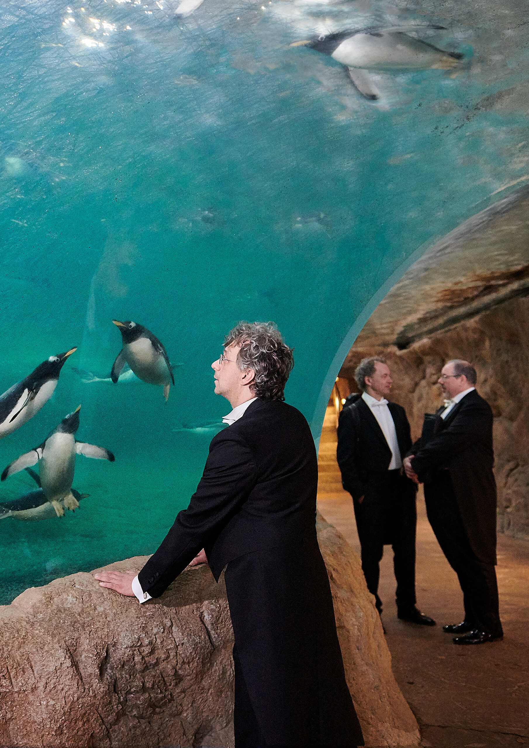 Foto 4 entstand im Pinguinehaus des Wuppertaler Zoos. Im Vordergrund beobachtet ein Musiker Pinguine beim schwimmen. Im Hintergrund sind zwei weitere Msuiker ins Gespräch vertieft. Alle tragen ihre Konzertkleidung.
